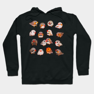 Zebra finch Hoodie